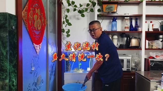 龍魚底濾生化棉多久清洗一次：龍魚底濾生化棉多長時間清洗一次