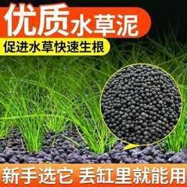 哪些底砂適合雷龍魚？：雷龍魚底砂選擇全攻略