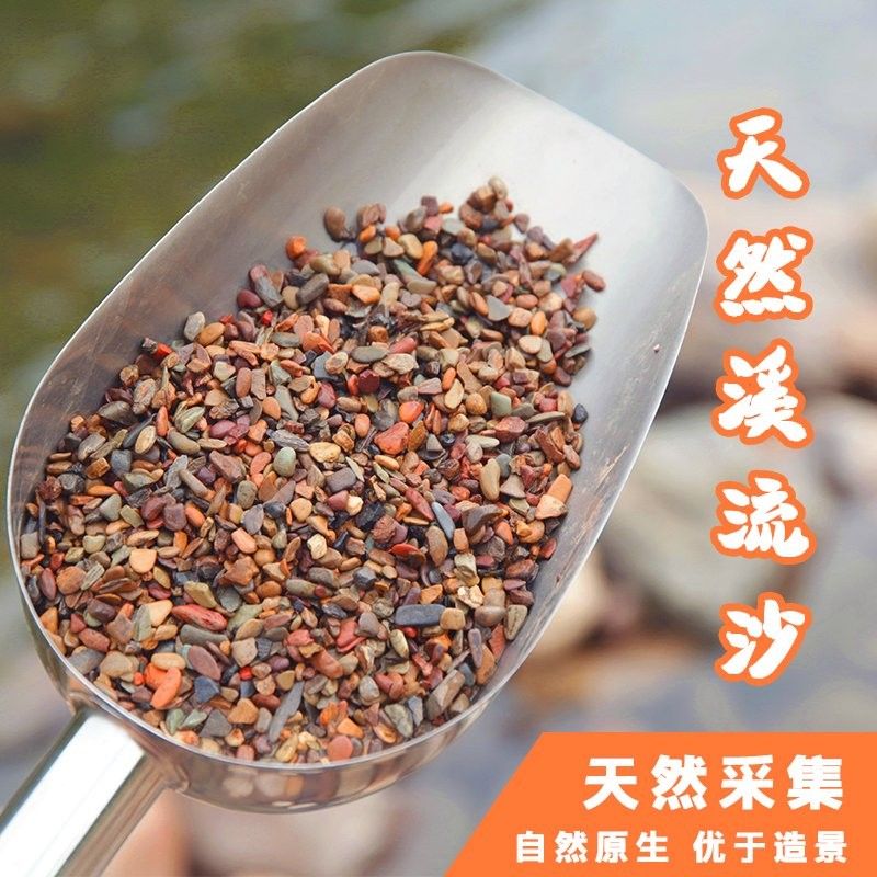 哪些底砂適合雷龍魚？：雷龍魚底砂選擇全攻略