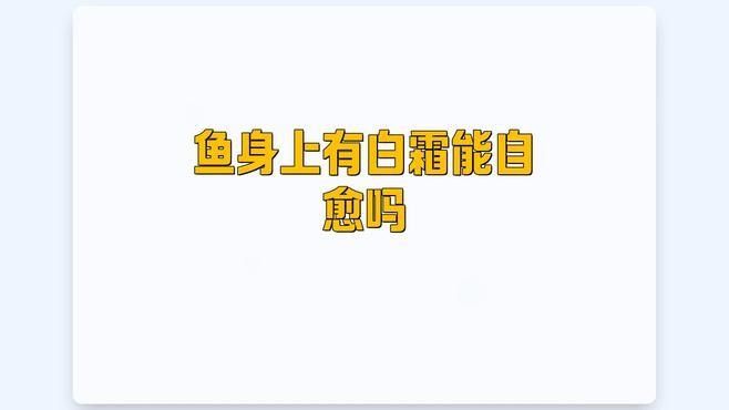 金龍魚(yú)鱗片發(fā)白會(huì)自愈嗎：養(yǎng)龍必看養(yǎng)魚(yú)小藝，魚(yú)的魚(yú)鱗掉了還能長(zhǎng)出來(lái)嗎