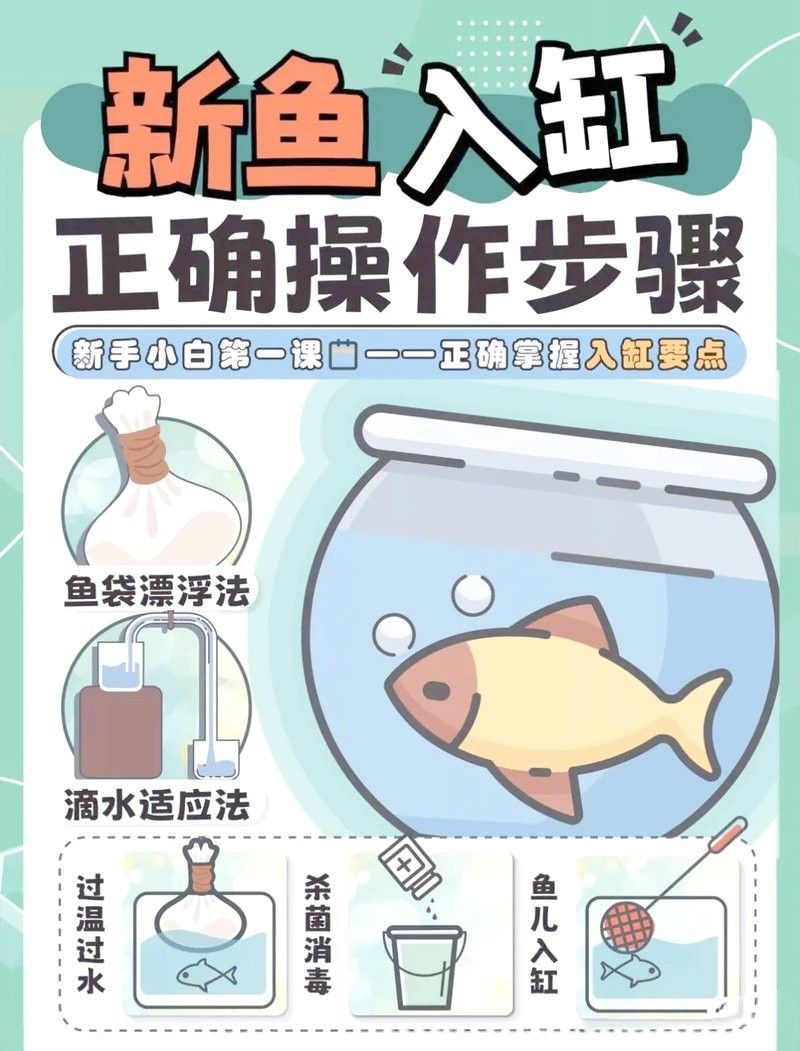 新魚入缸后多久可以開燈？：新魚入缸幾天可以開燈