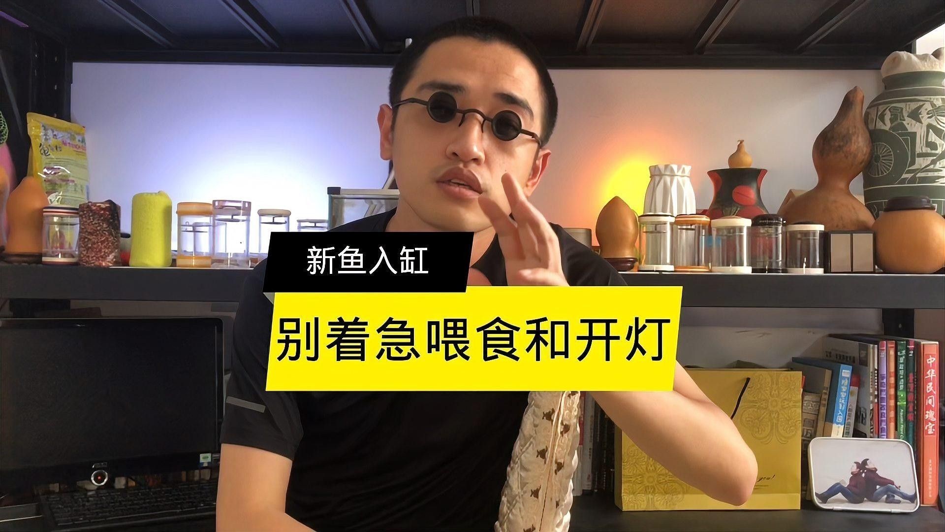 新魚入缸后多久可以開燈？：新魚入缸幾天可以開燈