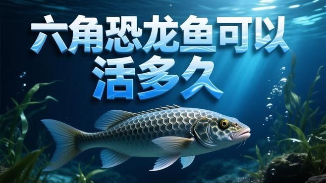 哪些因素會影響恐龍魚的壽命：六角恐龍魚的壽命受多種因素綜合影響
