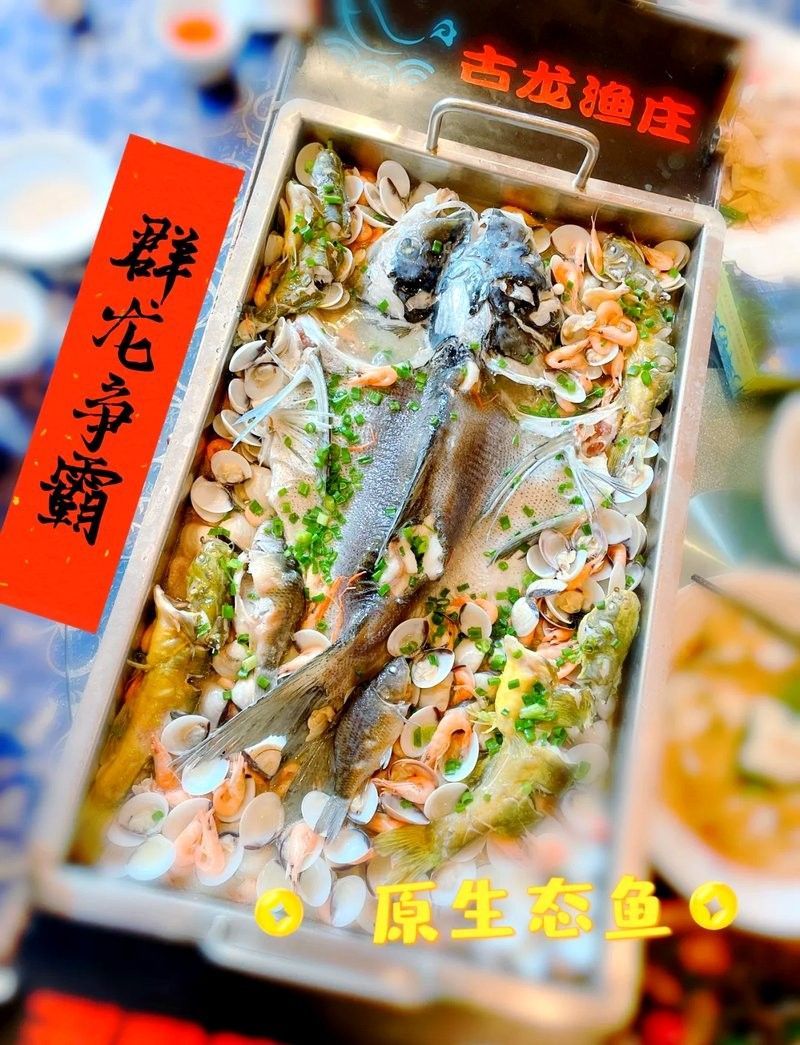 古龍魚莊的環(huán)境如何：清遠(yuǎn)古龍峽古龍漁莊