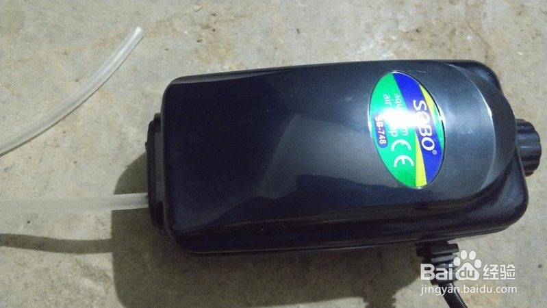 六角龍魚增氧設(shè)備如何安裝？：六角龍魚（六角恐龍魚）作為高耗氧物種，增氧設(shè)備的正確安裝指南