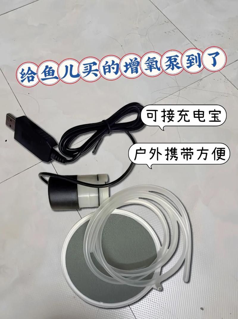 六角龍魚增氧設(shè)備如何安裝？：六角龍魚（六角恐龍魚）作為高耗氧物種，增氧設(shè)備的正確安裝指南