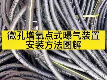 六角龍魚增氧設(shè)備如何安裝？：六角龍魚（六角恐龍魚）作為高耗氧物種，增氧設(shè)備的正確安裝指南