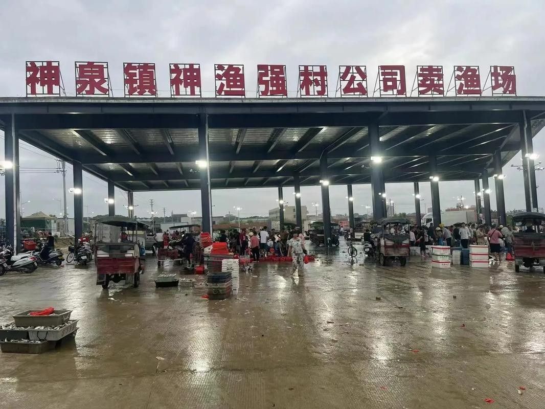 揭陽龍魚市場哪個最可靠：揭陽地區龍魚交易