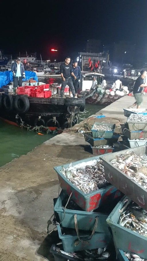 揭陽龍魚市場哪個最可靠：揭陽地區龍魚交易