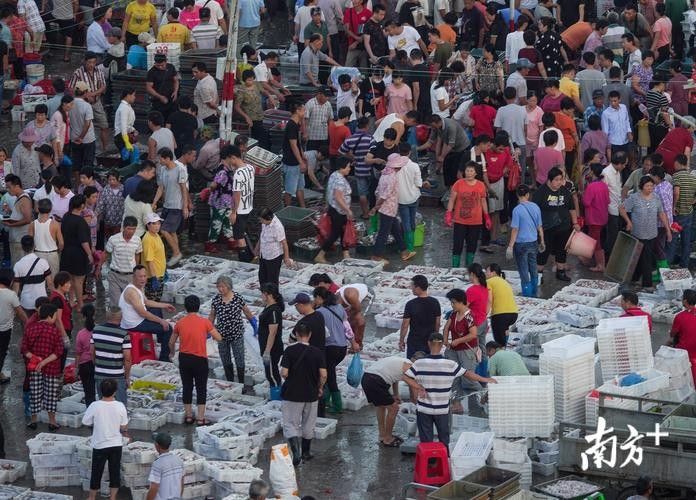 揭陽龍魚市場哪個最可靠：揭陽地區龍魚交易