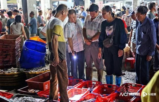 揭陽龍魚市場哪個最可靠：揭陽地區龍魚交易