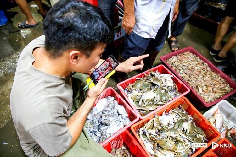 揭陽龍魚市場哪個最可靠：揭陽地區龍魚交易