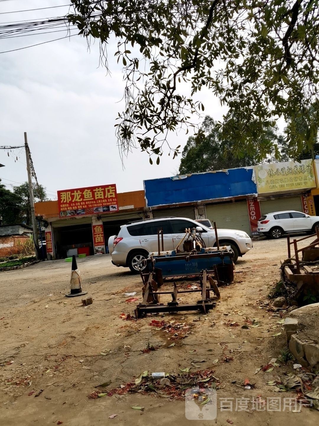 南寧龍魚比賽通常在哪里舉行：南寧與“龍魚”相關的活動