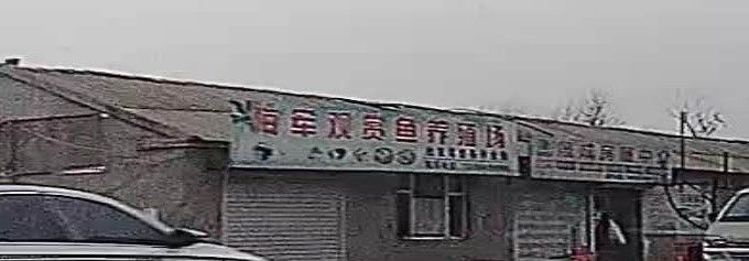 長春龍魚養(yǎng)殖場哪家最好？：長春市眾多花鳥魚市場一覽,周末閑逛好去處奶酥愛吃魚 長春龍魚養(yǎng)殖場哪家最好？：長春市眾多花鳥魚市場一覽,周末閑逛好去處奶酥愛吃魚 龍魚百科 第3張