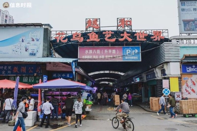 花地灣龍魚市場的地址在哪里？：廣州花地灣花鳥魚蟲批發市場