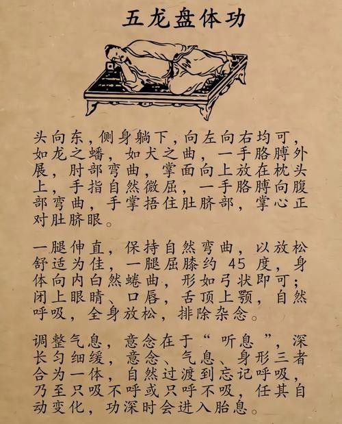 龍魚跳缸怎么辦:龍魚怎么養(yǎng) 龍魚百科 第7張 龍魚跳缸怎么辦:龍魚怎么養(yǎng) 龍魚跳缸怎么辦:龍魚怎么養(yǎng) 龍魚百科 第7張