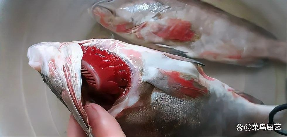 怎樣挑選新鮮的魚？：買魚時，這“4種魚”不要買，賣魚老板不小心說漏了嘴 怎樣挑選新鮮的魚？：買魚時，這“4種魚”不要買，賣魚老板不小心說漏了嘴 龍魚百科 第6張