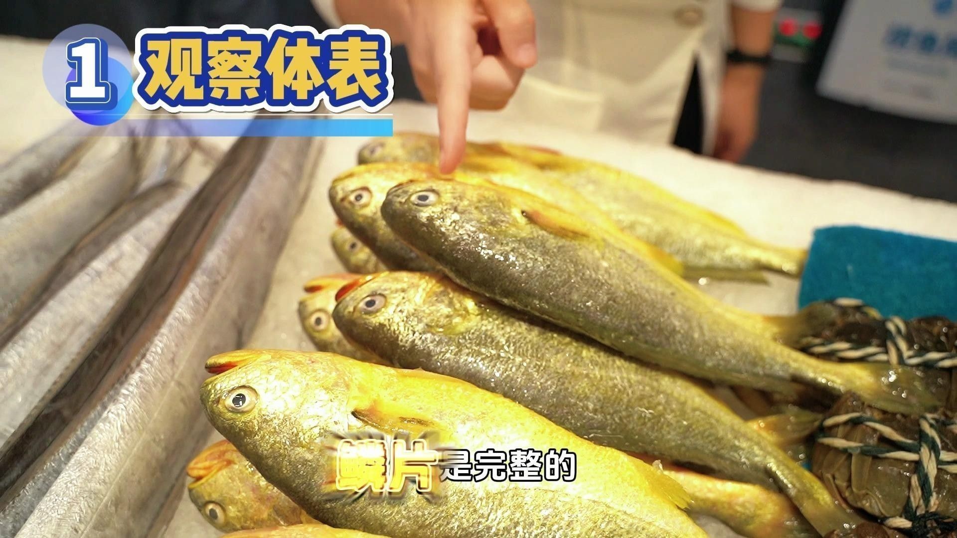 怎樣挑選新鮮的魚？：買魚時，這“4種魚”不要買，賣魚老板不小心說漏了嘴 怎樣挑選新鮮的魚？：買魚時，這“4種魚”不要買，賣魚老板不小心說漏了嘴 龍魚百科 第2張