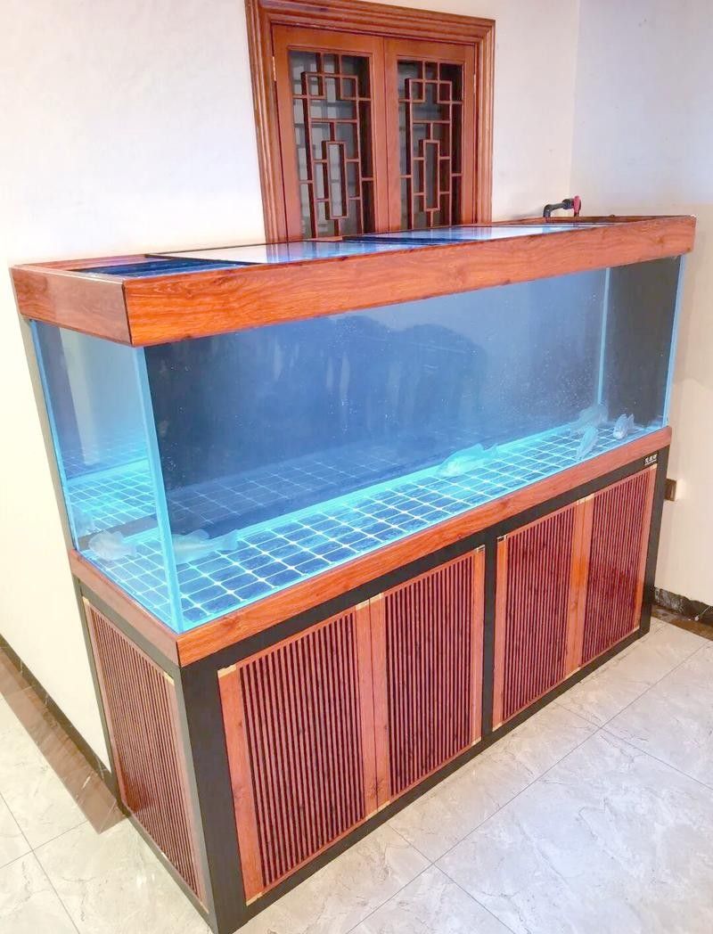 金龍魚缸的最佳材質(zhì)是什么：家庭養(yǎng)魚用什么魚缸比較好