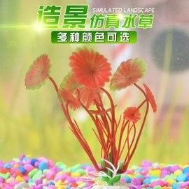 仟湖紅龍魚燈有試用期嗎？：仟湖紅龍魚燈價格是多少仟湖紅龍魚燈有哪些型號