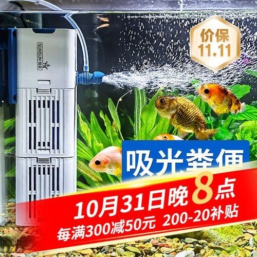 如何選擇適合龍魚的過濾系統？：龍魚缸底濾系統選擇及擺放詳解龍魚缸濾材選擇及擺放方法