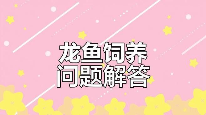 如何正確搭配龍魚濾材？：yuki龍魚缸濾材配置與護理技巧與護理技巧 如何正確搭配龍魚濾材？：yuki龍魚缸濾材配置與護理技巧與護理技巧 龍魚百科 第3張