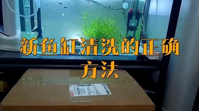 清洗魚缸時需要注意什么：洗魚缸最忌三種東西銀幕俠影,魚缸清洗知多少