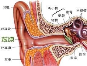 感染型穿孔有哪些癥狀：感染型耳膜穿孔是什么癥狀