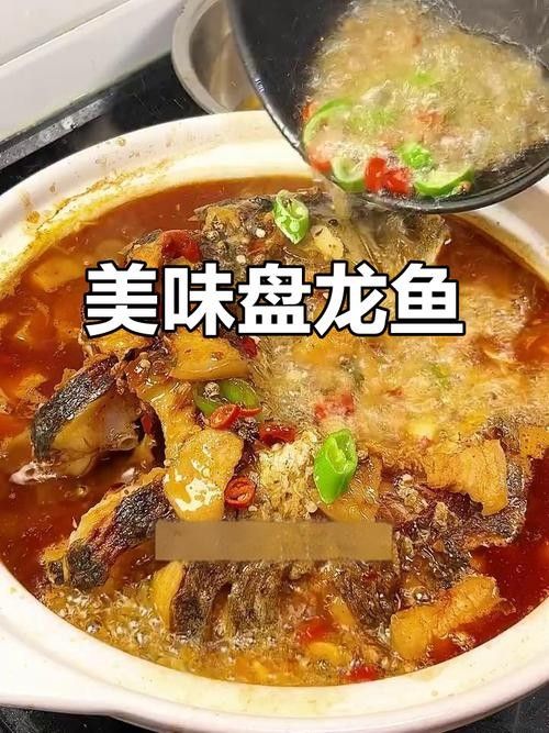盤龍魚圖片高清大圖：盤龍魚相關高清圖片資源