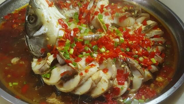 盤龍魚圖片高清大圖：盤龍魚相關高清圖片資源
