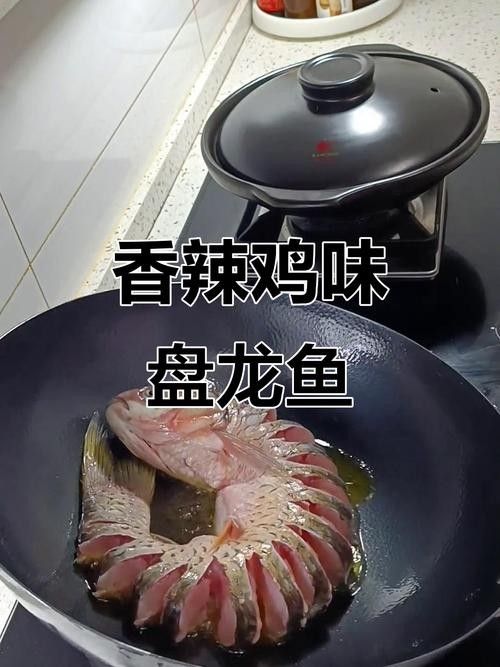 盤龍魚圖片高清大圖：盤龍魚相關高清圖片資源
