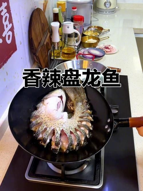 盤龍魚圖片高清大圖：盤龍魚相關高清圖片資源