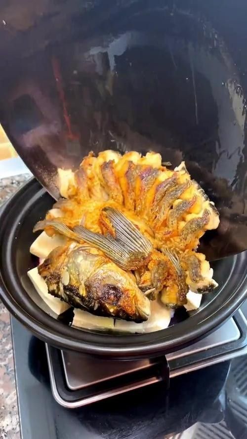 盤龍魚圖片高清大圖：盤龍魚相關高清圖片資源