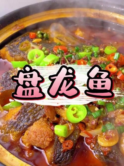 盤龍魚圖片高清大圖：盤龍魚相關高清圖片資源