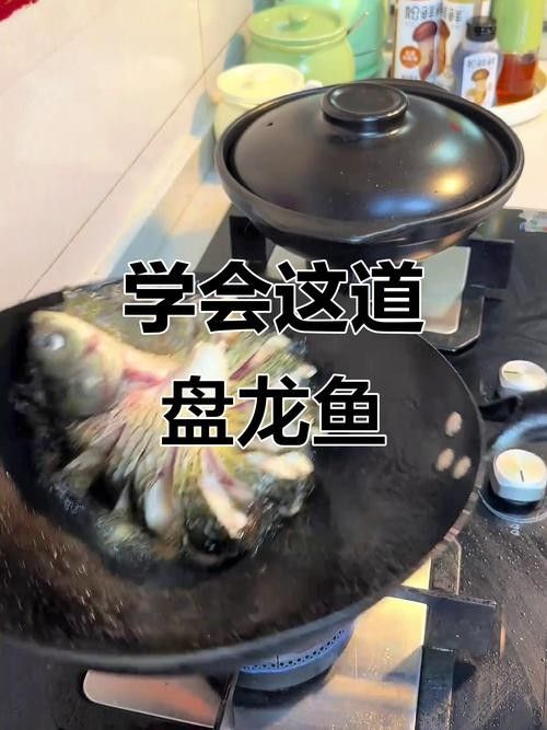 盤龍魚圖片高清大圖：盤龍魚相關高清圖片資源