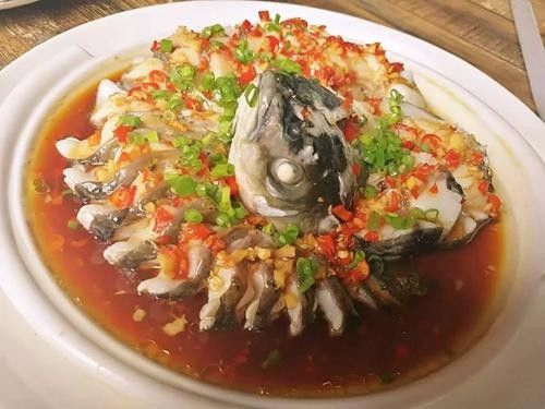 盤龍魚圖片高清大圖：盤龍魚相關高清圖片資源