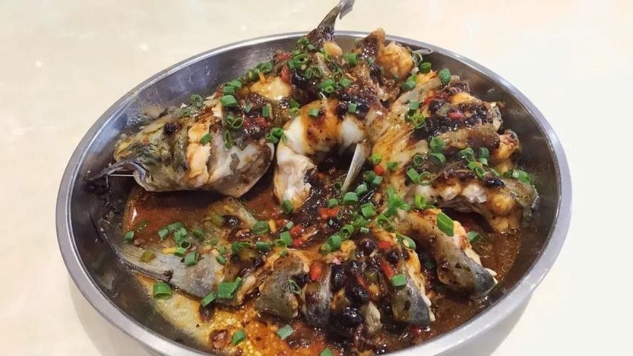 盤龍魚圖片高清大圖：盤龍魚相關高清圖片資源