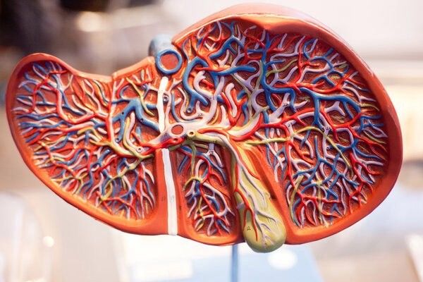 腹水好轉后需要多久復查：腹水好轉后多久復查 腹水好轉后需要多久復查：腹水好轉后多久復查 龍魚百科