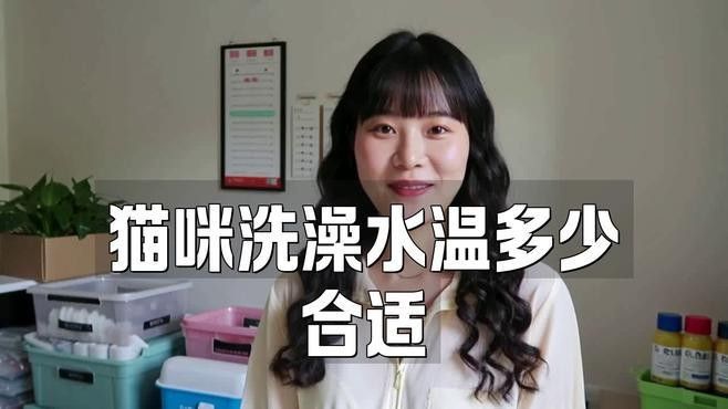 貓洗澡時應注意哪些事項？：給貓咪洗澡的注意事項