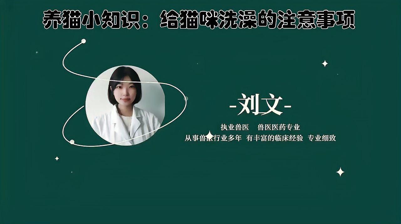 貓洗澡時應注意哪些事項？：給貓咪洗澡的注意事項