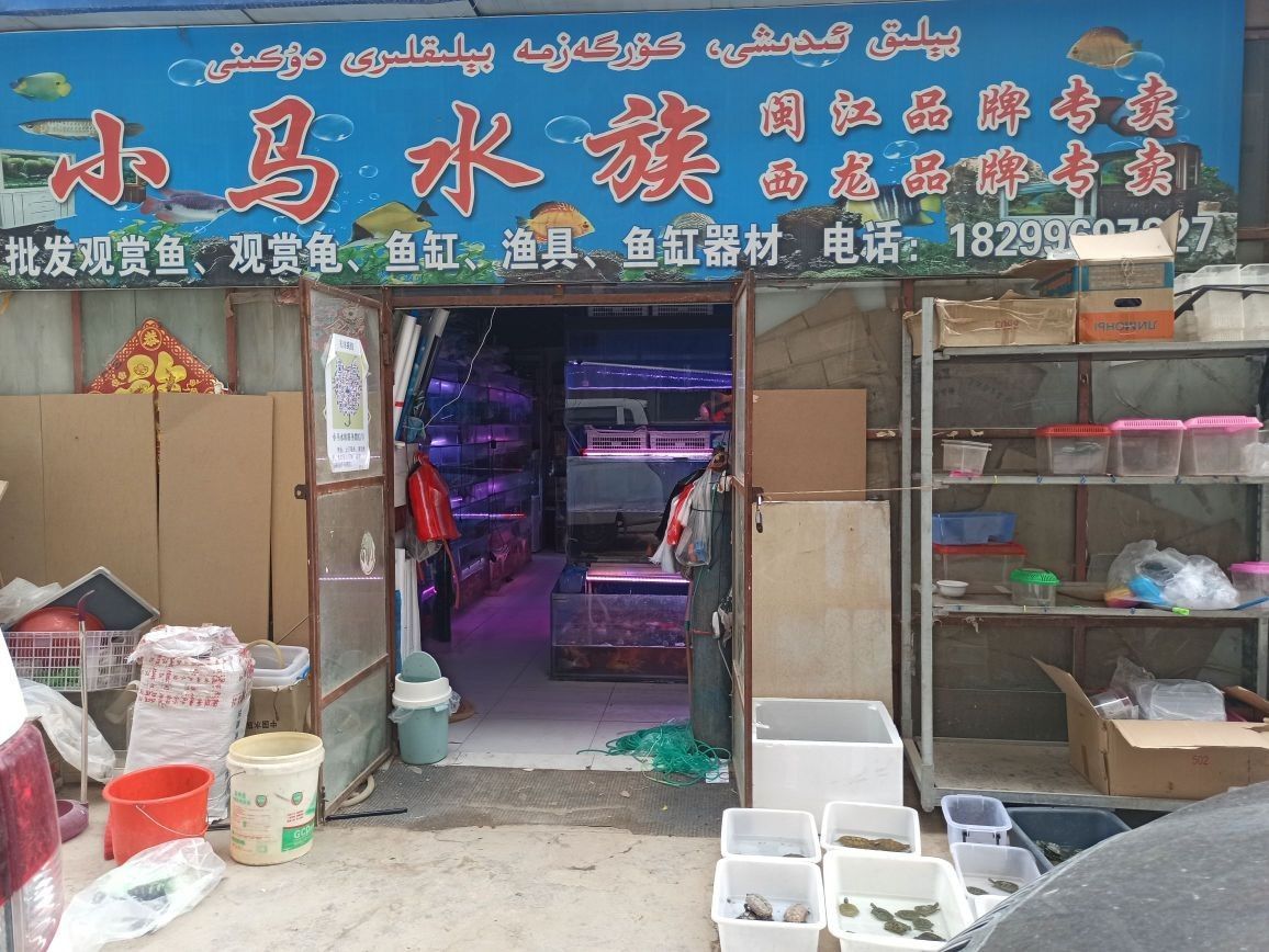 喀什市哪個水族館龍魚好？祥龍魚場龍魚：喀什市水族館提供龍魚相關服務或可能銷售龍魚