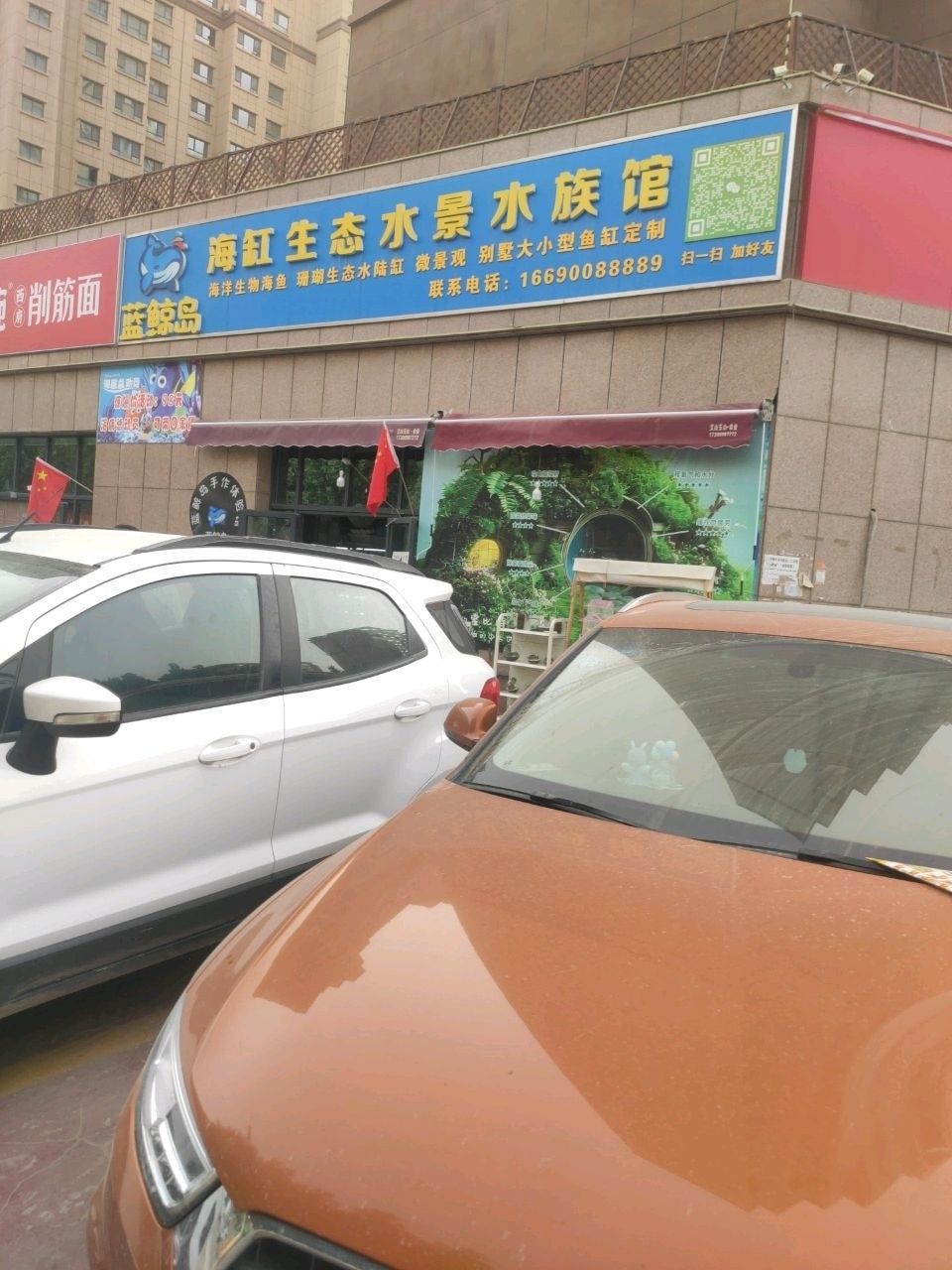 喀什市哪個水族館龍魚好？祥龍魚場龍魚：喀什市水族館提供龍魚相關服務或可能銷售龍魚