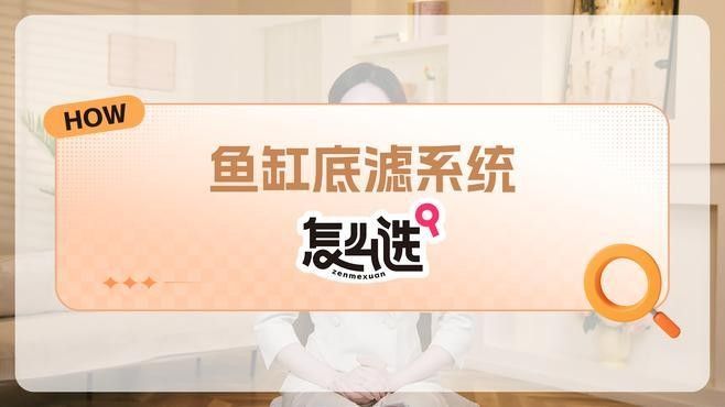 如何判斷底濾系統(tǒng)的水流是否合適？：判斷底濾系統(tǒng)水流是否合適