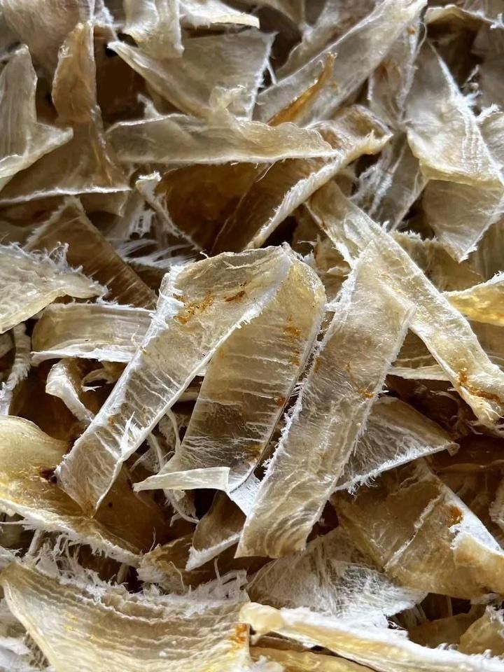 如何辨別真假金龍魚膠絲：如何辨別金龍魚膠絲 如何辨別真假金龍魚膠絲：如何辨別金龍魚膠絲 龍魚百科 第10張