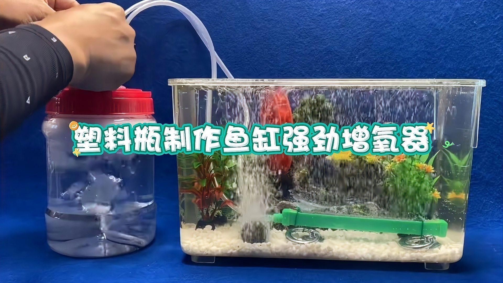 如何增加魚缸中的氧氣：怎么手動給魚缸加氧氣 如何增加魚缸中的氧氣：怎么手動給魚缸加氧氣 龍魚百科 第1張