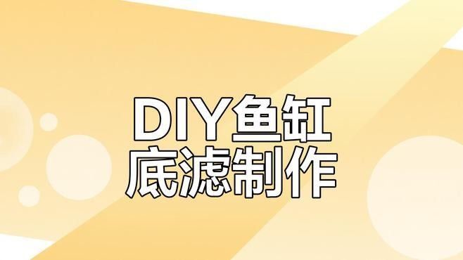 底濾系統(tǒng)如何定制：60缸虹吸底濾制作全攻略 底濾系統(tǒng)如何定制：60缸虹吸底濾制作全攻略 龍魚百科 第2張