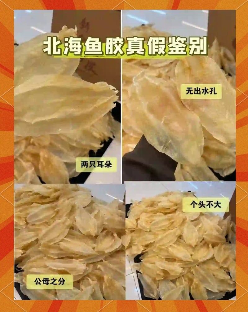 如何辨別真假北海金龍魚膠：lv精釀避坑指南:金龍膠怎么選精釀避坑指南