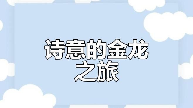 藍底金龍使用超光燈有何效果：藍底金龍魚使用超光燈