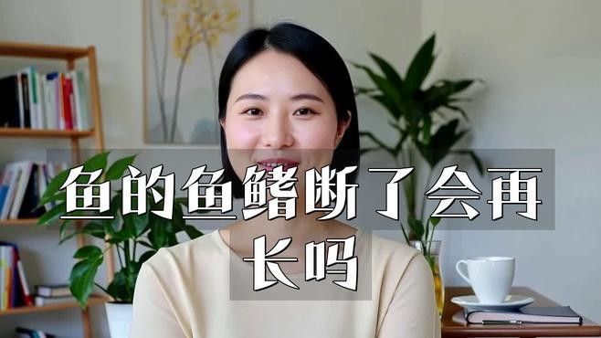 龍魚鰭條再生需要多長(zhǎng)時(shí)間？：揭秘!魚鰭斷裂,龍魚能否奇跡般再生 龍魚鰭條再生需要多長(zhǎng)時(shí)間？：揭秘!魚鰭斷裂,龍魚能否奇跡般再生 龍魚百科 第1張