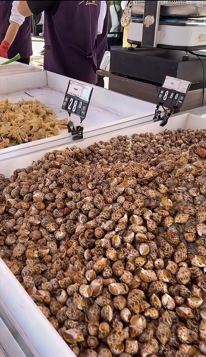 哈爾濱哪家龍魚商店口碑最好：哈爾濱與龍魚相關的商店